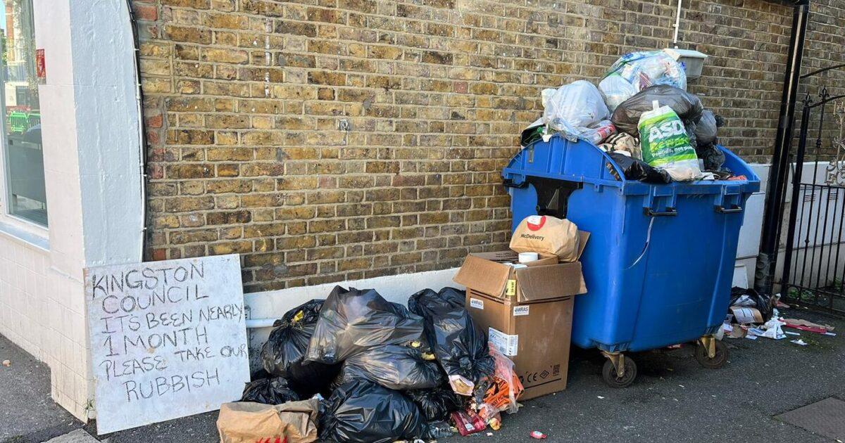 Check Bin Day Kingston at Ivan Shaw blog